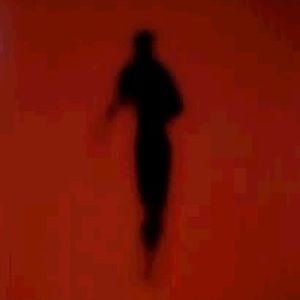 Meet your Posher, Anh